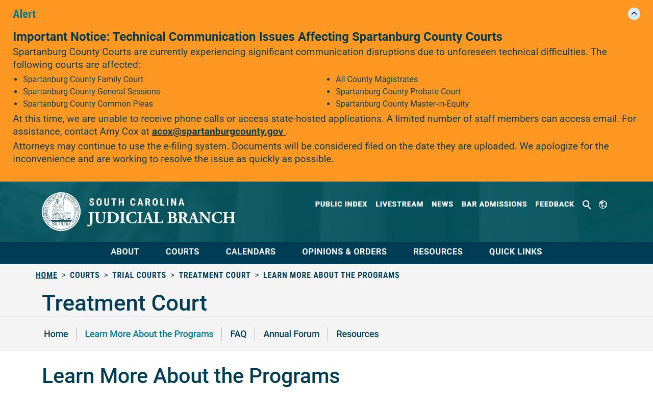 Sumter County criminal court records and South Carolina treatment court programs