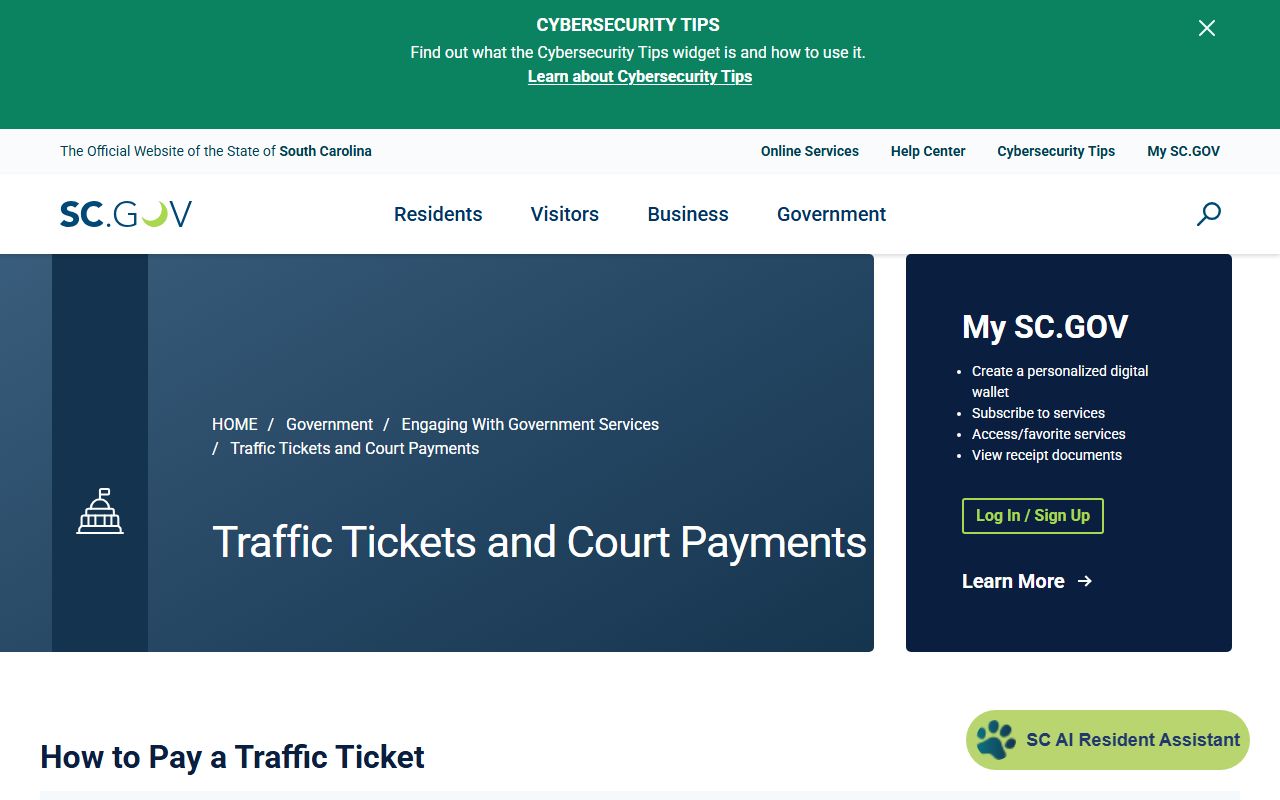 Sumter County traffic court records SC.gov ticket payment workflow